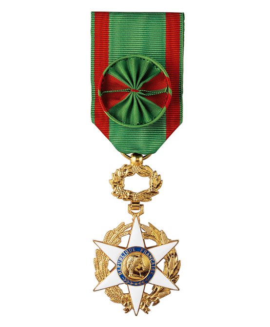 Acheter Médaille d'Honneur Agricole Stadium MÉDAILLE DU TRAVAIL, COLLECTION  MONNAIE DE PARIS ARGENT MASSIF